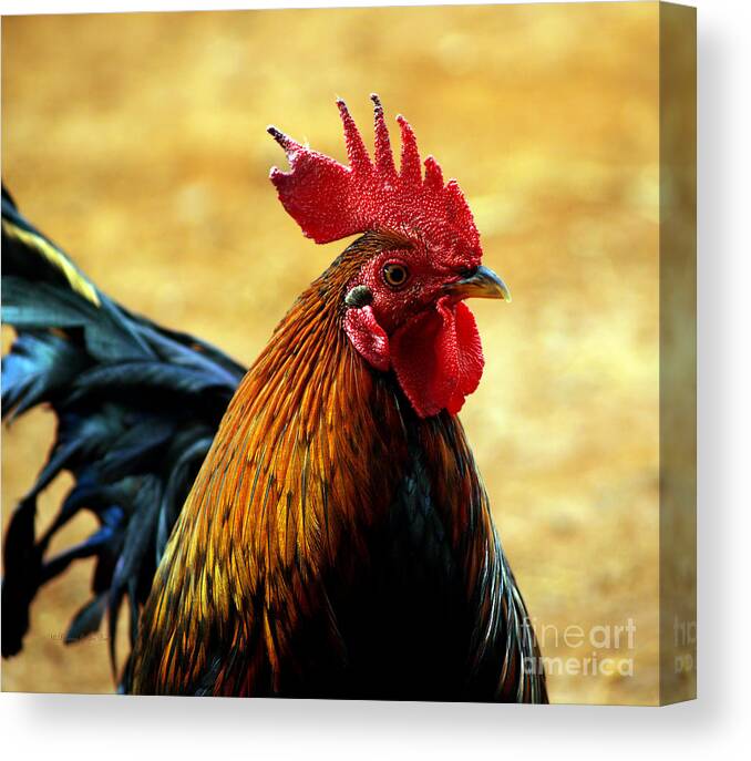 Fine Art Photography Canvas Print featuring the photograph Foghorn I by Patricia Griffin Brett