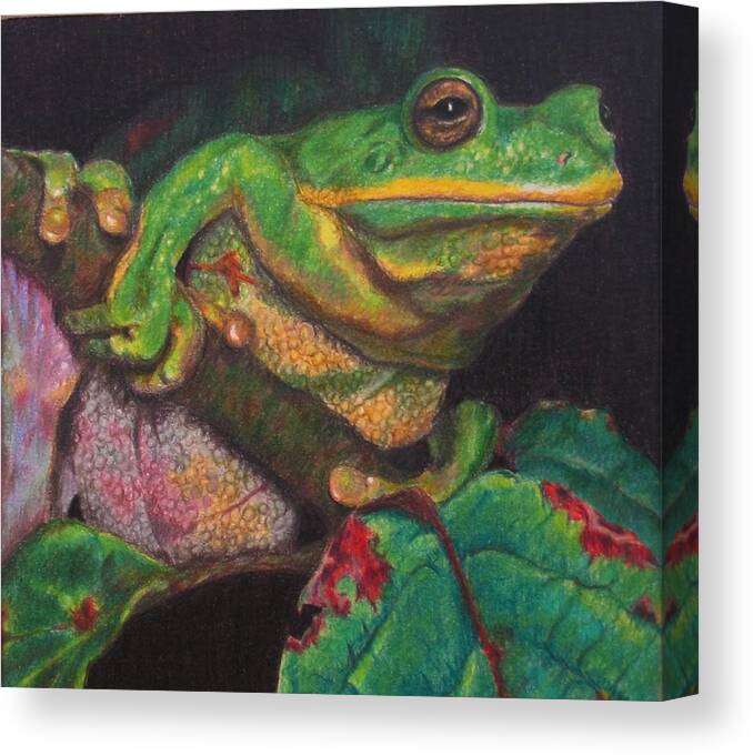 Frog Canvas Print featuring the painting Froggie by Karen Ilari