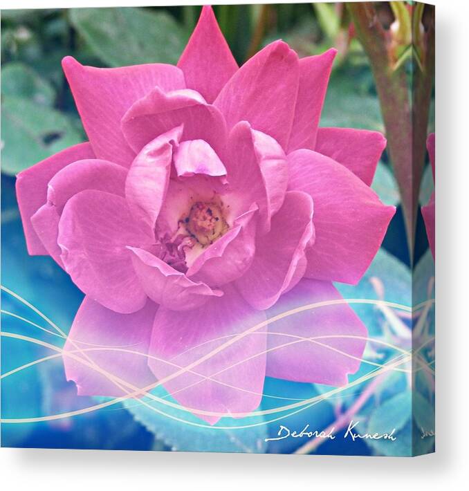 Flowers Canvas Print featuring the photograph Fuschia Flower Energy by Deborah Kunesh