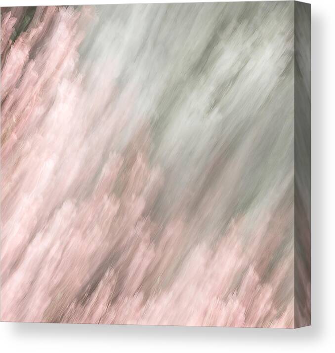 412 Kinetic #2 Nature Abstract Experimental Brushstroke Impressionist Impressionistic Paint Paintbrush Flora Move Movement Outside Outdoor Day Daylight Daytime Midday Spring Vertical Tall Square Blur Blurry Blurred Gradation Hyperreality Texture Vibrant Earthtone Red Pink Peach Beige White Grey Gray Painterly Painting Earth Earthtone Steve Steven Maxx Photography Photo Photographs Canvas Print featuring the photograph Kinetic #2 by Steven Maxx