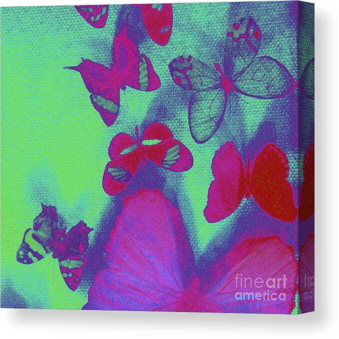 Butterflies Neon Fuchsia Lime Canvas Print featuring the photograph Luna by Kristine Nora