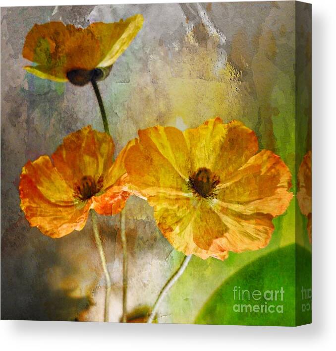 Poppies Canvas Print featuring the photograph Modern Poppy by Sandra Peery