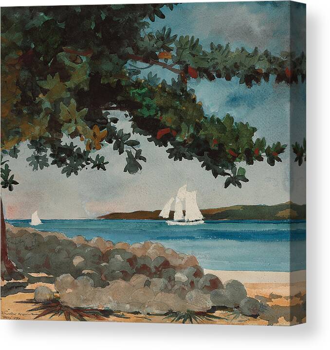 Nassau Canvas Print featuring the painting Nassau  Water and Sailboat by Winslow Homer