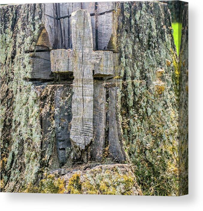 Old Canvas Print featuring the photograph Old Wooden Cross Carved in Stump by Douglas Barnett