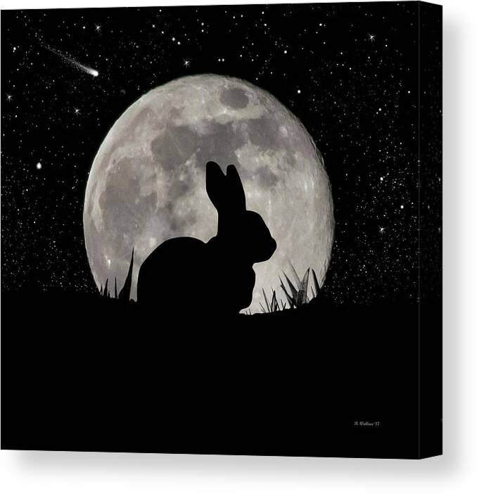 2d Canvas Print featuring the digital art Peter Cottontail by Brian Wallace