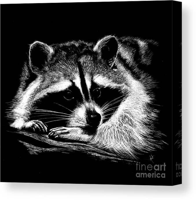 Raccoon Canvas Print featuring the mixed media Raccoon by Rita Silva
