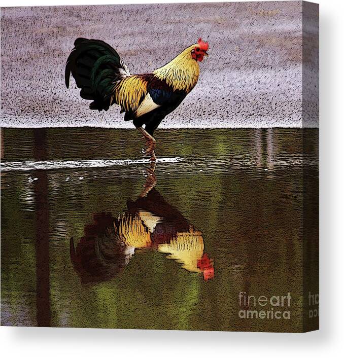 Rooster Canvas Print featuring the photograph Rooster's Reflection by Craig Wood