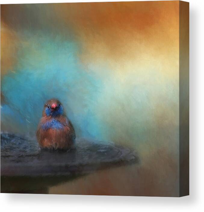 Bird Canvas Print featuring the photograph Splish Splash by Kim Hojnacki