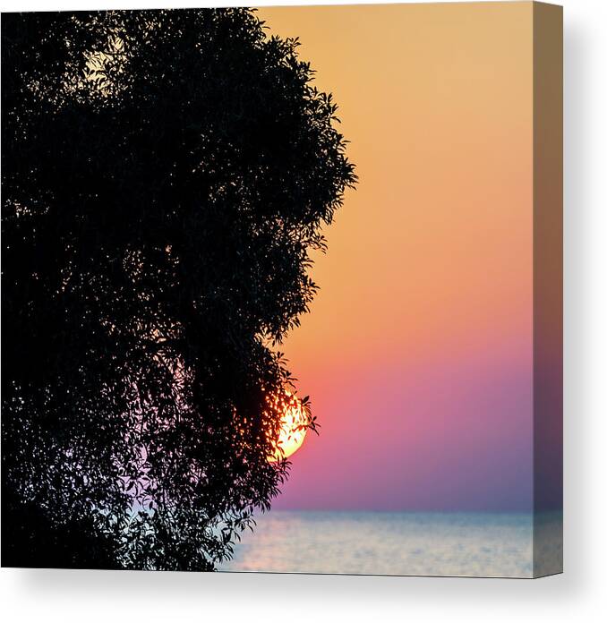Sunset Canvas Print featuring the photograph Sunset by Christopher Johnson