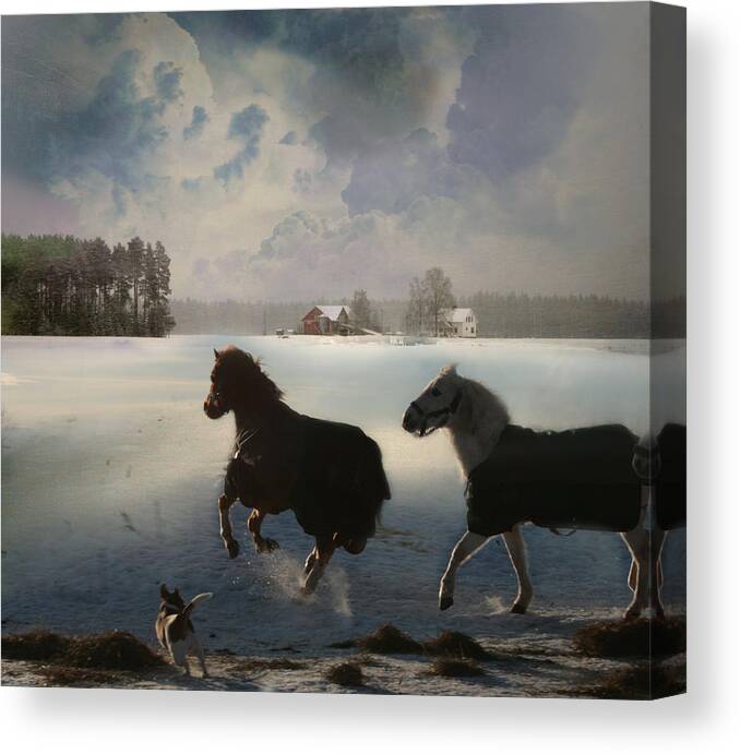 Horses Canvas Print featuring the digital art The Chase by Henriette Tuer lund