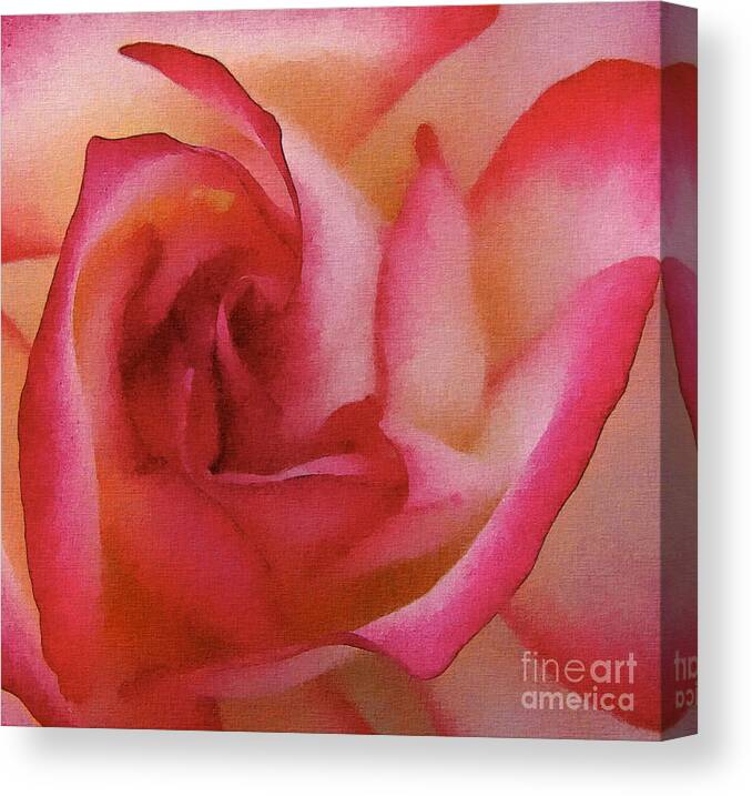 Rose Canvas Print featuring the photograph The Rose by Andrea Kollo