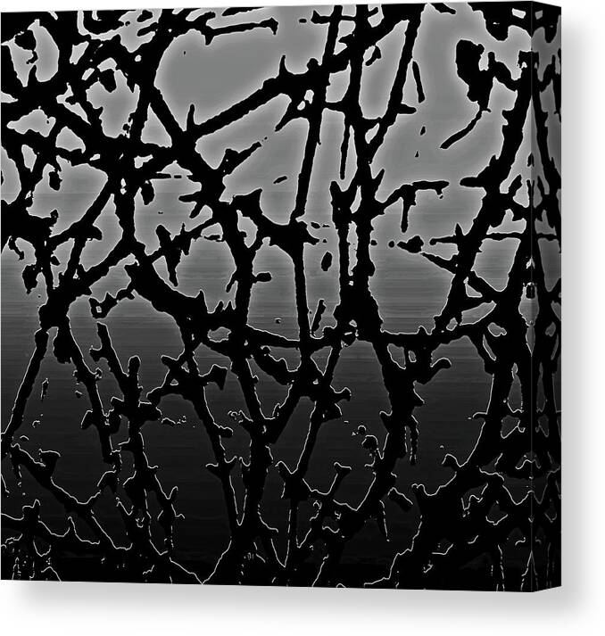 Crown Of Thorns Canvas Print featuring the photograph Thorned by Gina O'Brien