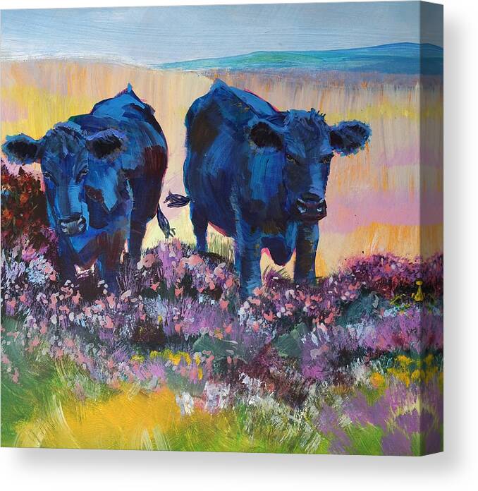 Black Cows On Dartmoor Canvas Print featuring the painting Two Black Cows On Dartmoor by Mike Jory