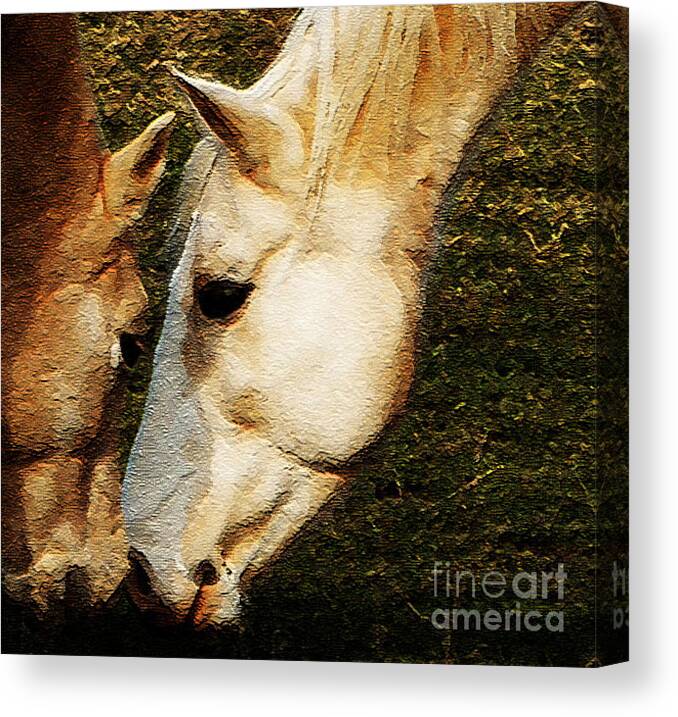Horses Canvas Print featuring the photograph Understanding by Linda Shafer