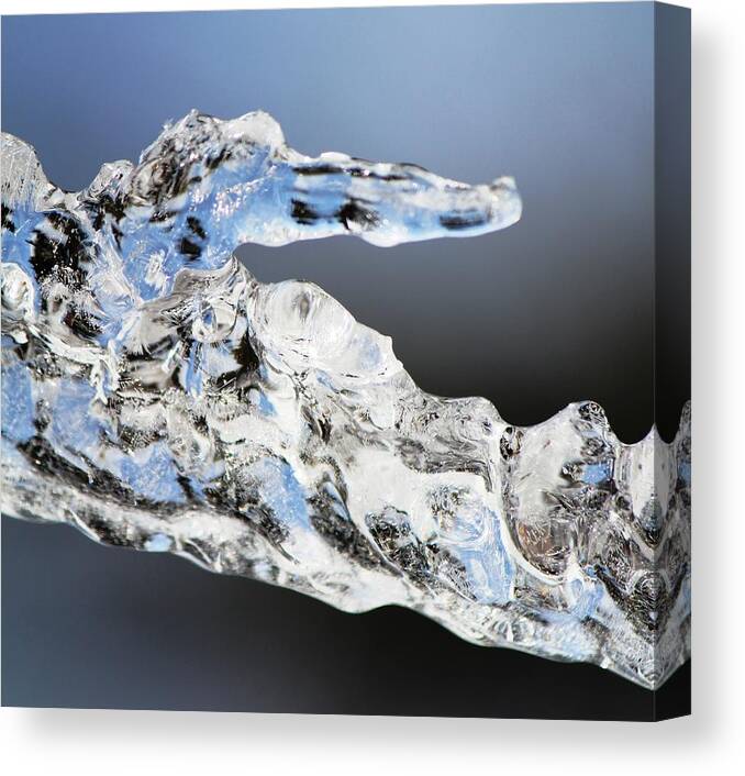 Winter Canvas Print featuring the photograph Winter by Donn Ingemie