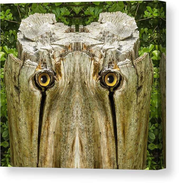 Wood Canvas Print featuring the digital art Woody 156 by Rick Mosher