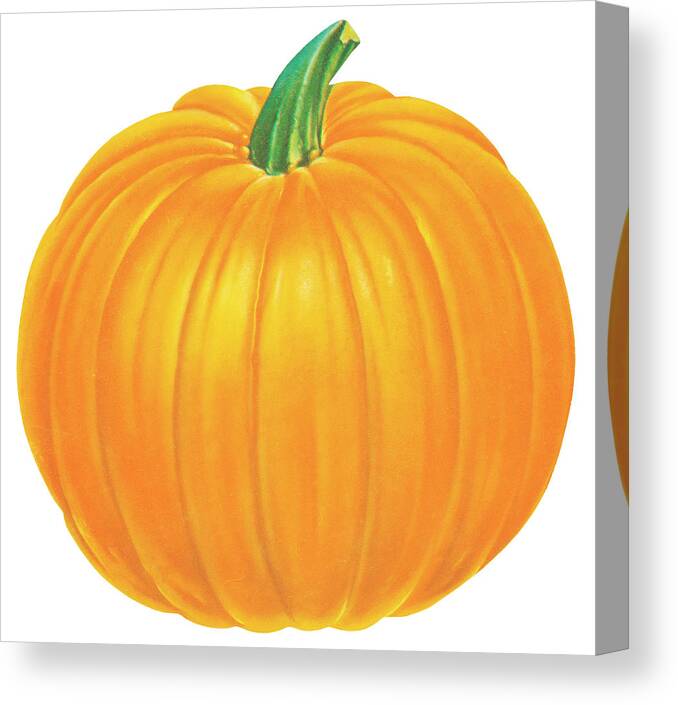 Autumn Canvas Print featuring the drawing Pumpkin #4 by CSA Images