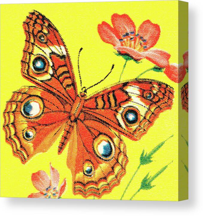 Animal Canvas Print featuring the drawing Butterfly #8 by CSA Images