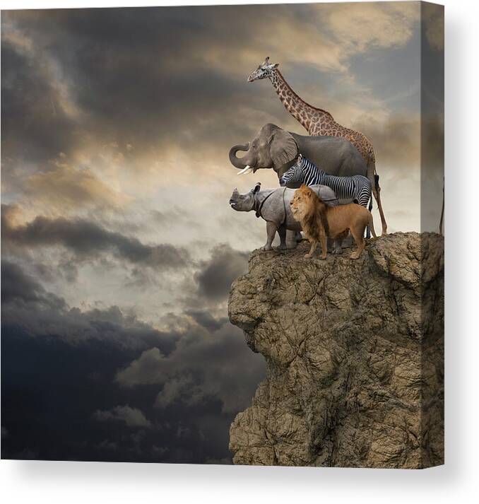 African Animals On The Edge Of A Cliff Canvas Print / Canvas Art by John  Lund 
