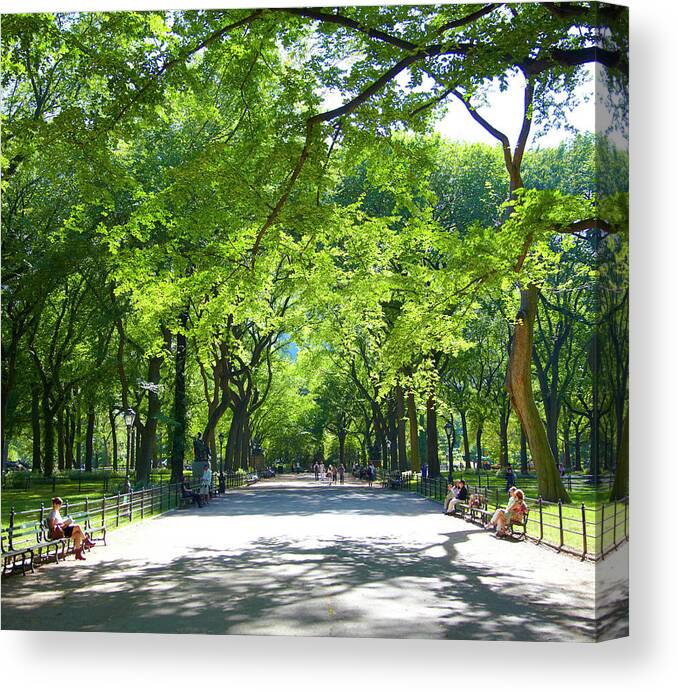 Shadow Canvas Print featuring the photograph Afternoon In Central Park by Thomas Northcut