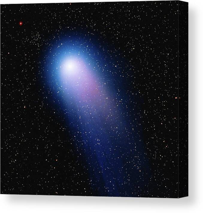 Comet Canvas Print featuring the photograph C2001 Q4 Neat Comet by Stocktrek