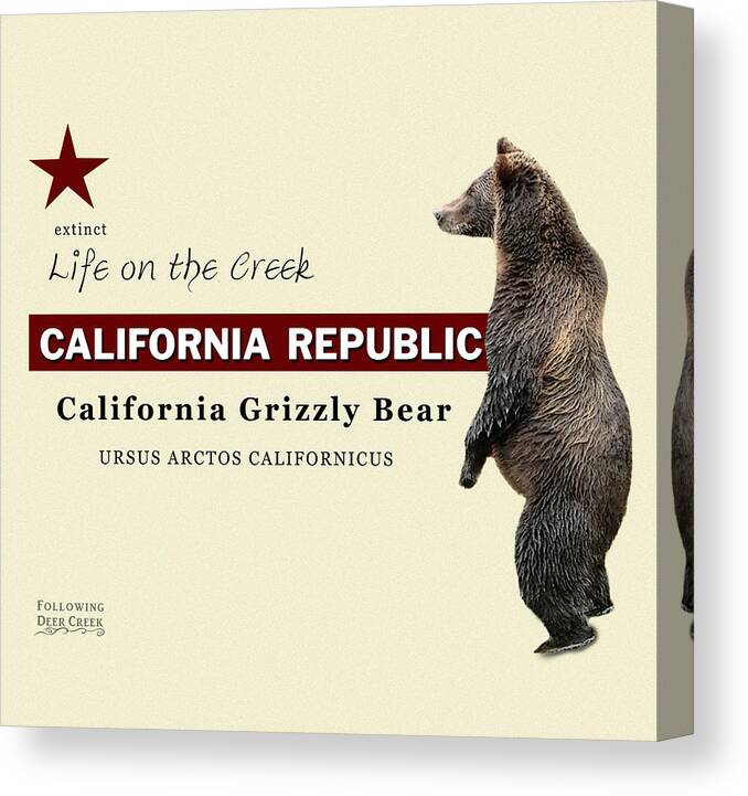 Canvas Print featuring the digital art California Grizzly by Lisa Redfern