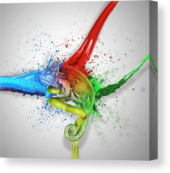 Vitality Canvas Print featuring the photograph Colours by Gandee Vasan