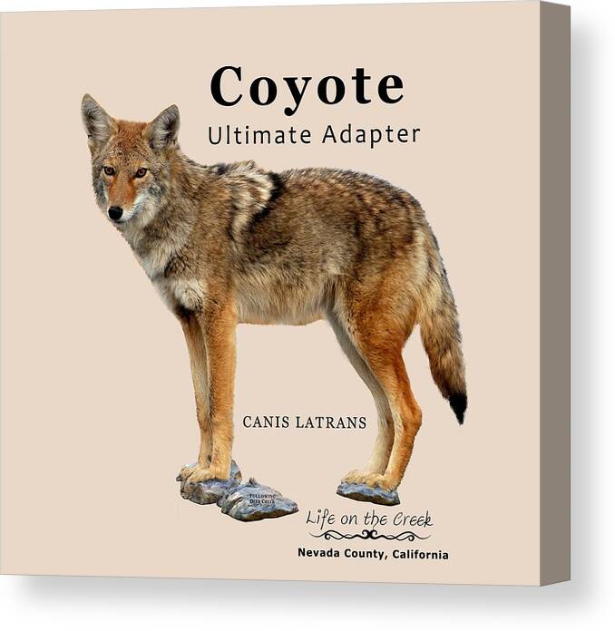 Coyote Canvas Print featuring the digital art Coyote Ultimate Adaptor by Lisa Redfern
