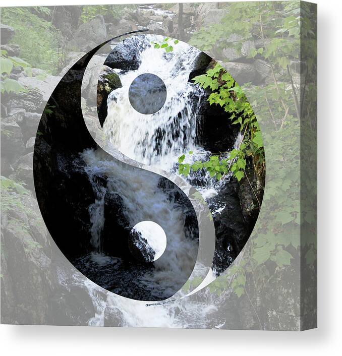 Yin Canvas Print featuring the photograph Find Your Balance by Samantha Delory