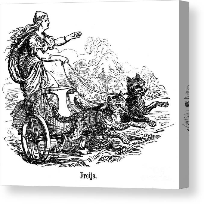 Engraving Canvas Print featuring the drawing Freya Frigg Goddess Of Love by Print Collector