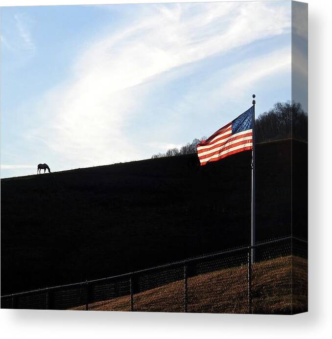 Horse Canvas Print featuring the photograph Horse and Flag by Kathy Ozzard Chism