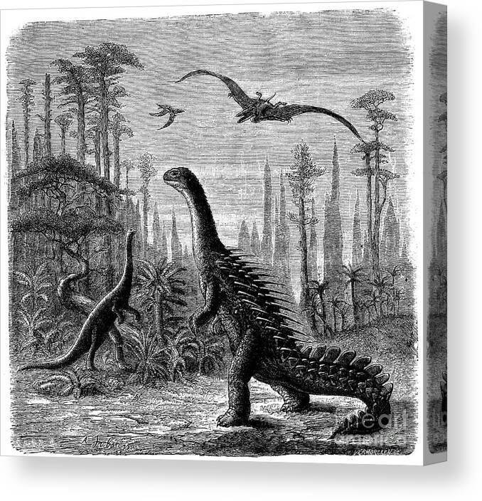 Jurassic Canvas Print featuring the drawing Ideal Jurassic Landscape In America by Print Collector