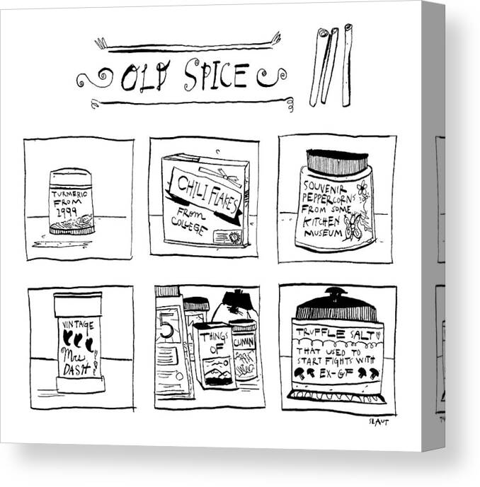 Old Spice Spices Canvas Print featuring the drawing Old Spice by Sara Lautman