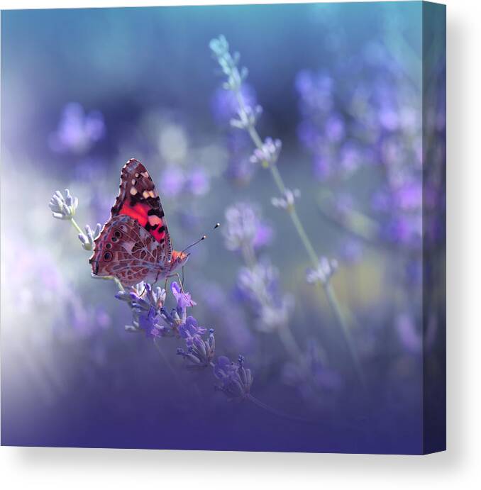 Flower Canvas Print featuring the photograph Queen Of Flowers.. by Juliana Nan