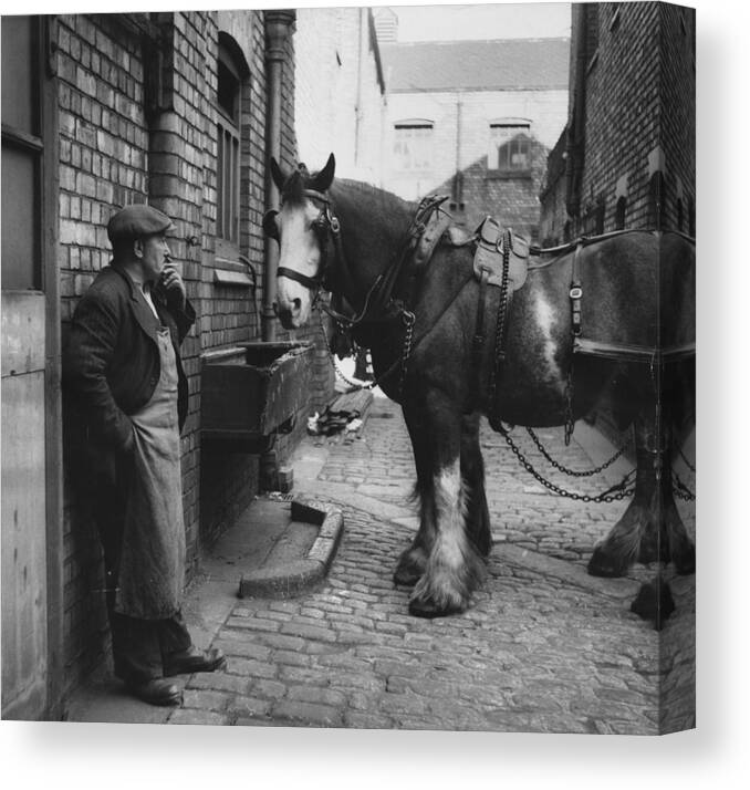Horse Canvas Print featuring the photograph Rest At The Stables by Bert Hardy