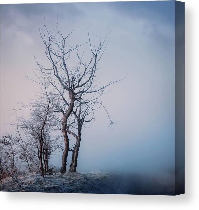 Spring Canvas Print featuring the photograph Roadside Trees by Dan Jurak