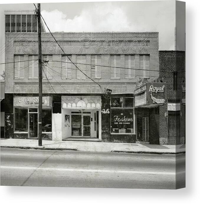 Atlanta Canvas Print featuring the painting Royal Peacock by Unknown