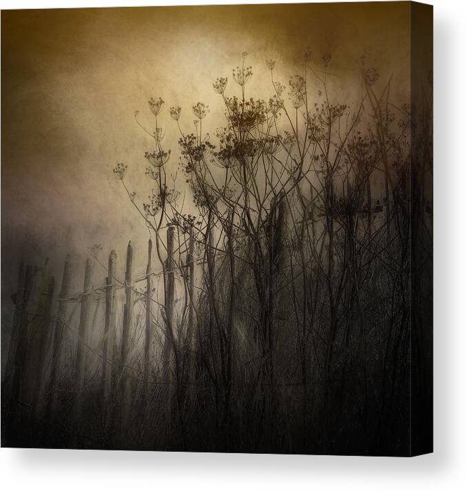 Fence Canvas Print featuring the photograph The Old Fence by Nel Talen