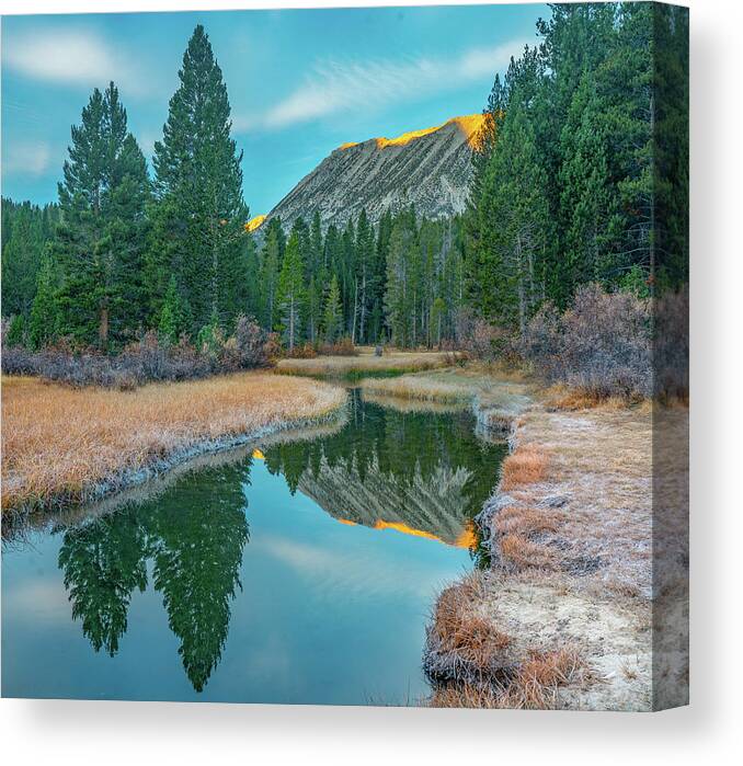 Tim Fitzharris Canvas Print featuring the photograph Rock Creek Inyo National Forest, California, USA #1 by Tim Fitzharris