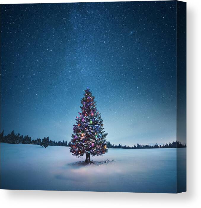 Tranquility Canvas Print featuring the photograph Christmas Tree by Borchee