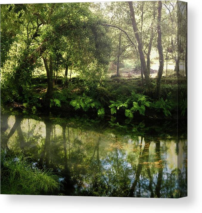 River Canvas Print featuring the photograph A Calzada River Beach 1 by Micah Offman