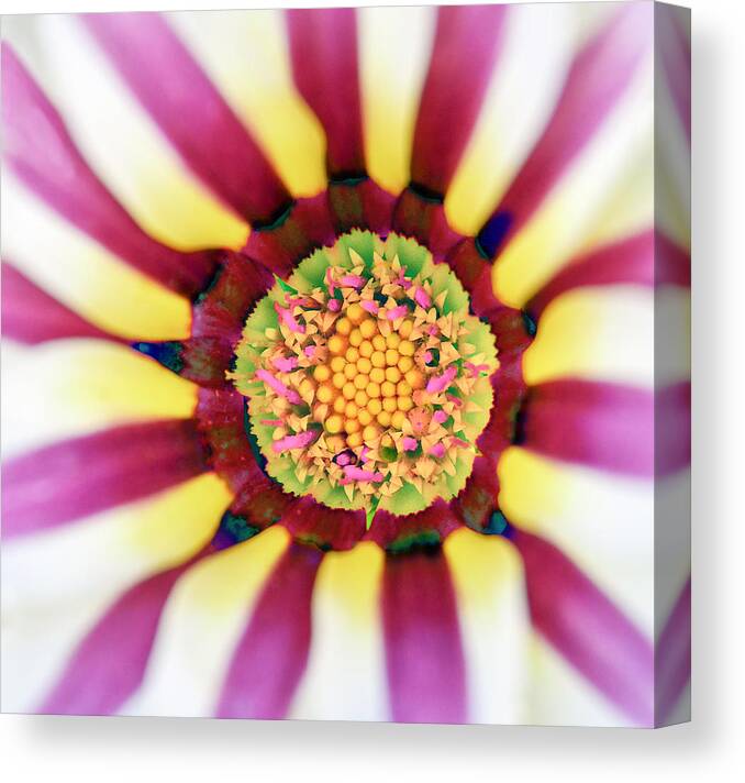 Abstract Canvas Print featuring the photograph Abstract Flower by WAZgriffin Digital