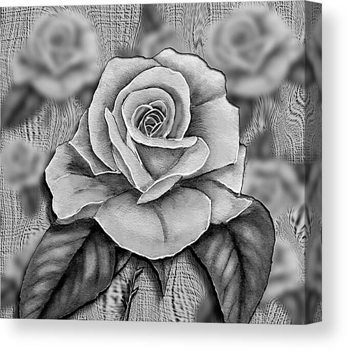 White Rose Canvas Print featuring the mixed media Black and White Rose - B/W by Kelly Mills