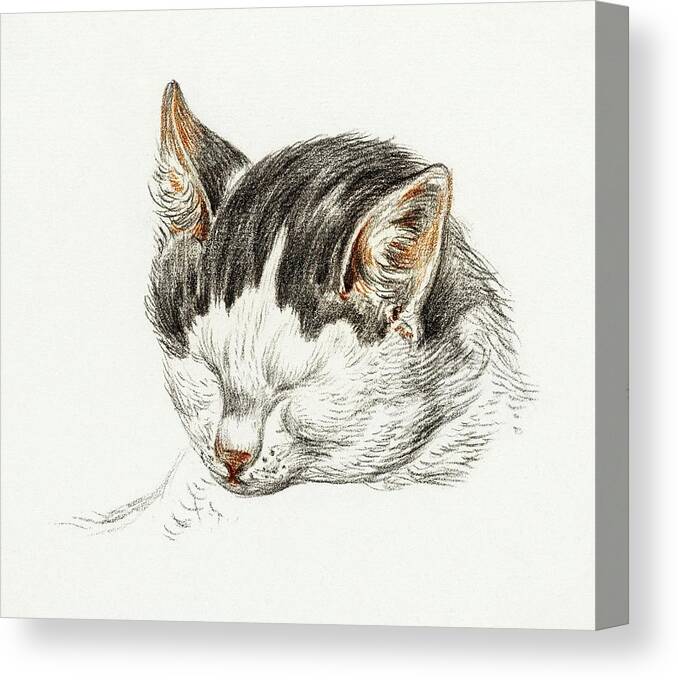 Animal Canvas Print featuring the drawing Cat Drawing 16 by Jean Bernard 1828 by Movie Poster Prints