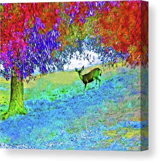 Deer Canvas Print featuring the photograph Dear Deer by Andrew Lawrence