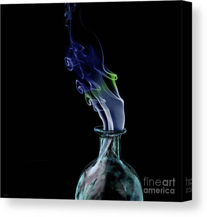 Digital Canvas Print featuring the photograph Elixir by Mehran Akhzari