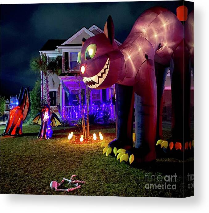Halloween Canvas Print featuring the photograph Halloween Cat by Flavia Westerwelle