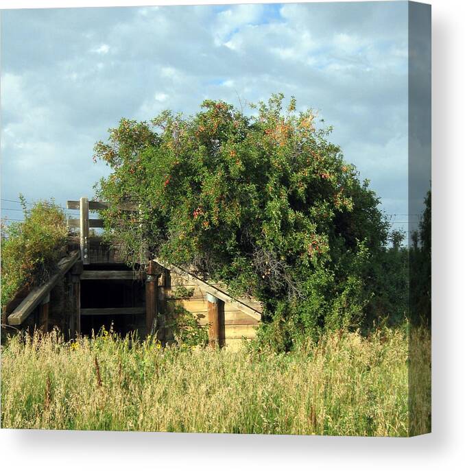Tunnel Canvas Print featuring the photograph The Tunnel and the Wild Plum Thicket by Katie Keenan