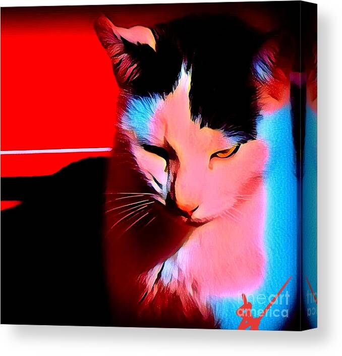 Kitty Canvas Print featuring the photograph Tom by Rabiah Seminole