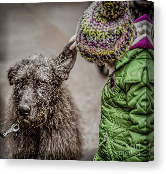 Dog Canvas Print featuring the photograph Wanna Tell Me Something? by Eva Lechner